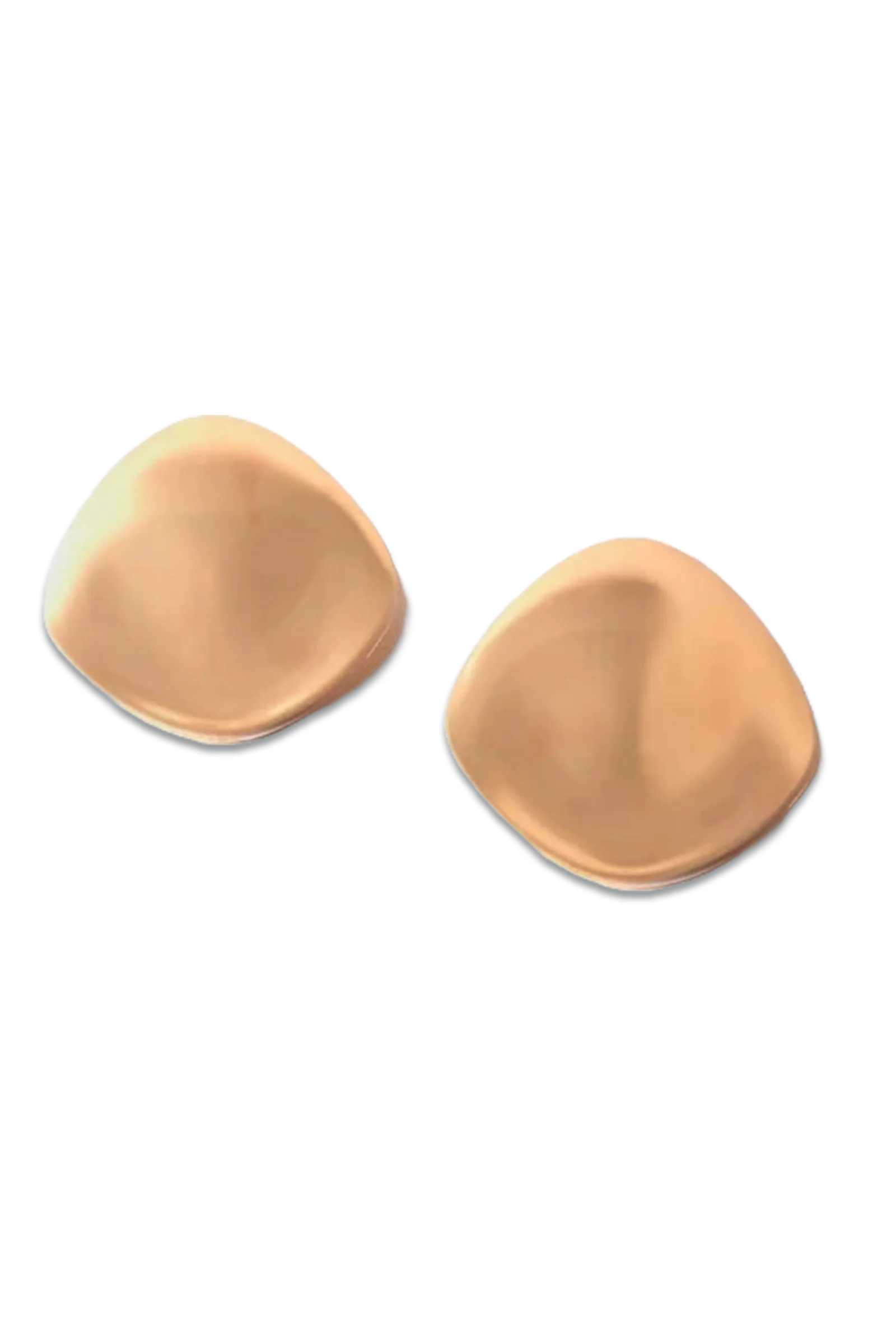 Gold Tone Disc Earrings