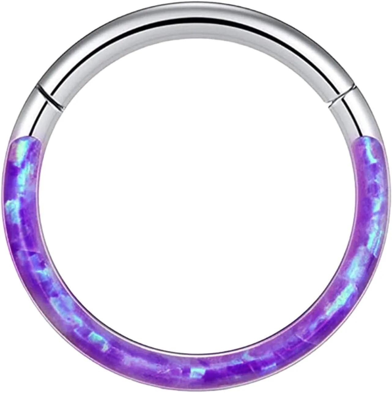 Nose Ring Faux Rings Hoop Nose Ring Lip Rings Stainless Steel Hinged Segment Ring Seamless Ring Cartilage