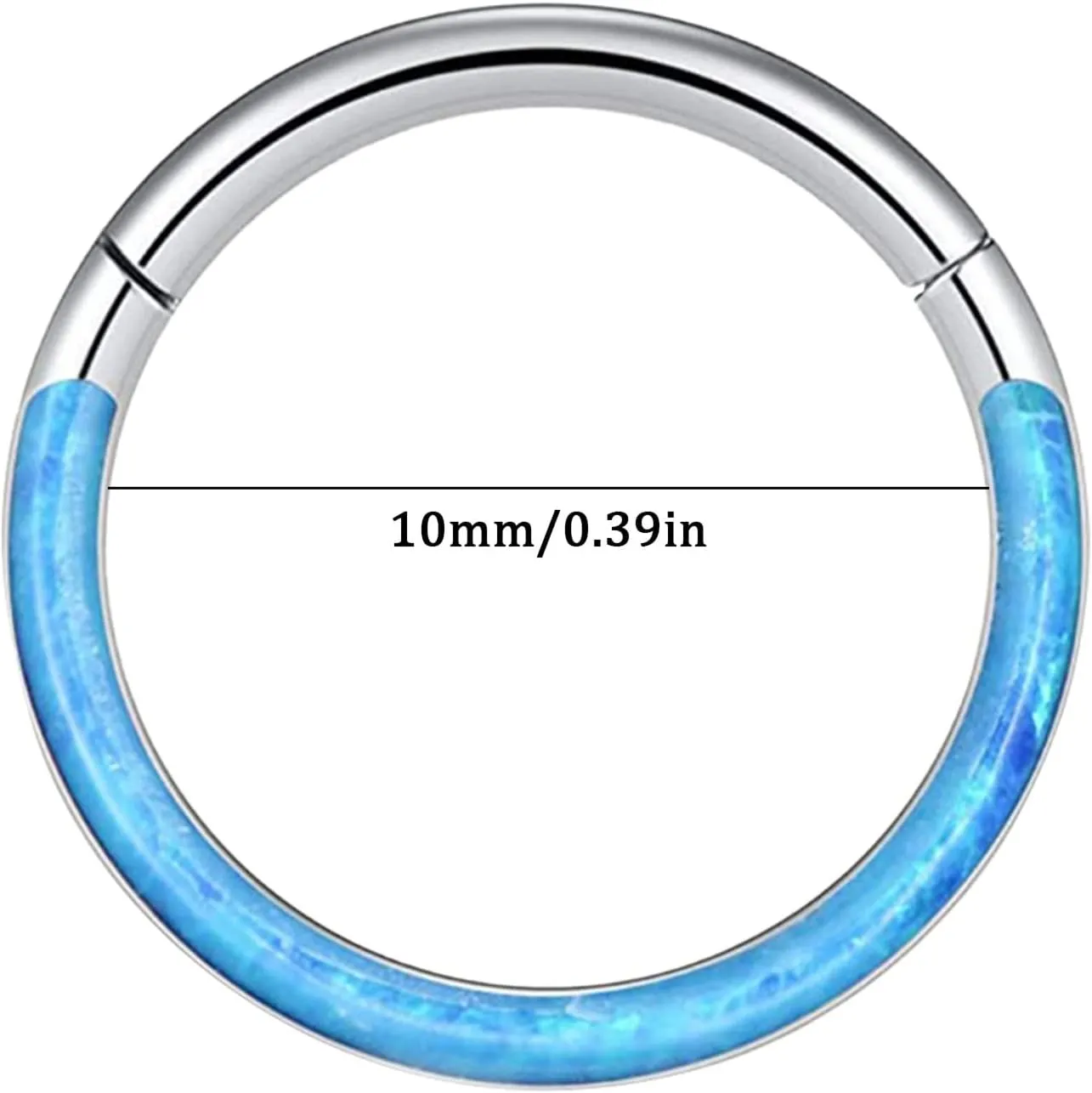 Nose Ring Faux Rings Hoop Nose Ring Lip Rings Stainless Steel Hinged Segment Ring Seamless Ring Cartilage