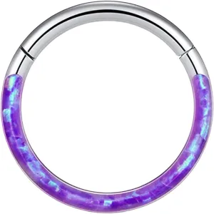 Nose Ring Faux Rings Hoop Nose Ring Lip Rings Stainless Steel Hinged Segment Ring Seamless Ring Cartilage