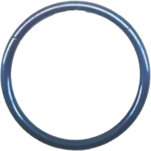 Nose Rings Hoop, Surgical Steel Hypoallergenic Nose Rings Septum Cartilage Hoop Earring Conch Piercing For Women For Nostril Septum Cartilage Helix