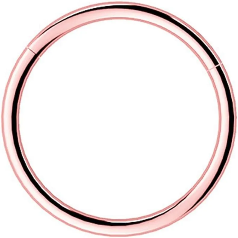 Nose Rings Hoop, Surgical Steel Hypoallergenic Nose Rings Septum Cartilage Hoop Earring Conch Piercing For Women For Nostril Septum Cartilage Helix