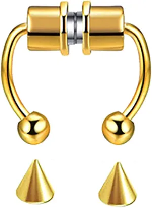 Rings 10mm Stainless Steel Hoop 316L Nose Nose Jewelry 16g Nose Rings for Women (Gold, One Size), W4ngVTac4