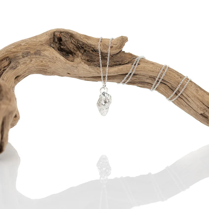 Seashell Whelk Necklace